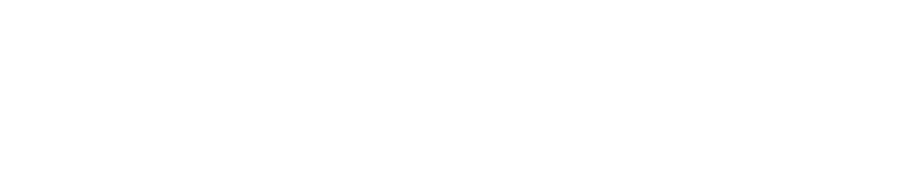 Wadi Agency